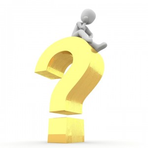 Indirect questions 2